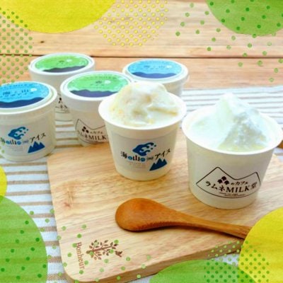 島根県飯南町の森からお届けもの【アイス6個入りセット】