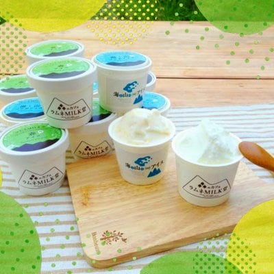 島根県飯南町の森からお届けもの【アイス12個入りセット】