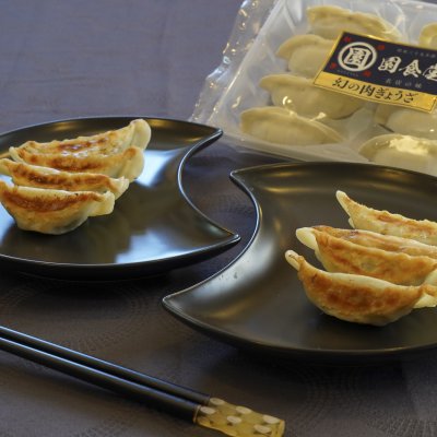 毎月定期購入【秋田象潟 園食堂】幻の肉ぎょうざ【容量32個】(8個入×4パック)