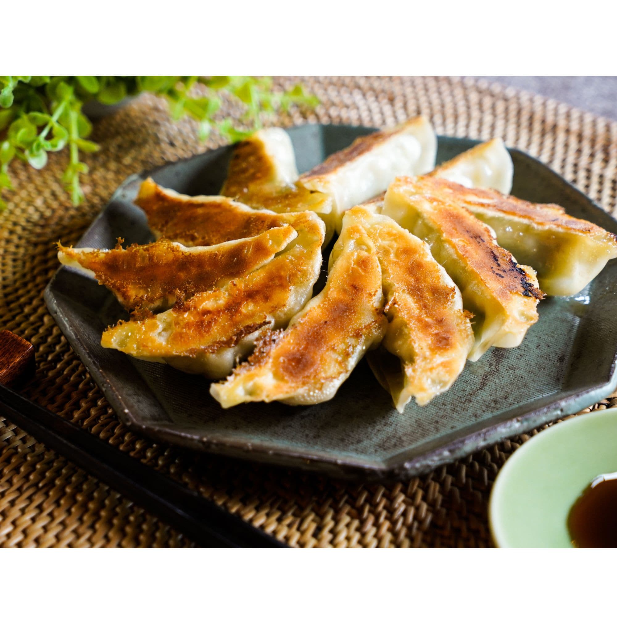 61周年記念セール【園食堂】バラエティーセット「幻の肉餃子：2P