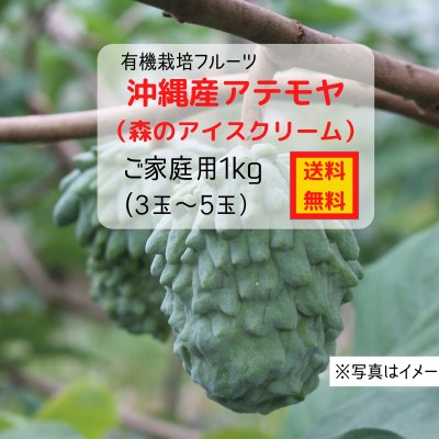 沖縄産アテモヤ 約1kg(3〜5玉)(ご家庭用)〜有機栽培〜
