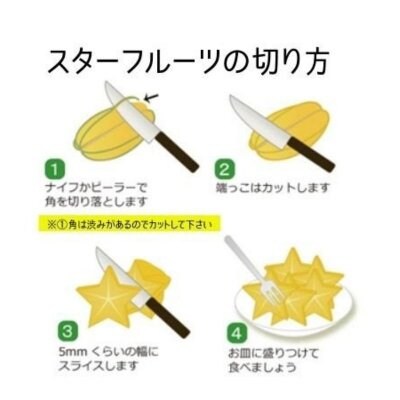 9月上旬発送予定 沖縄産スターフルーツ 約4kg 農薬不使用 化学肥料不使用栽培