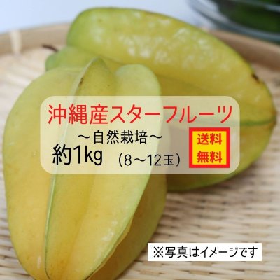 沖縄産スターフルーツ　約1Kg　〜自然栽培〜