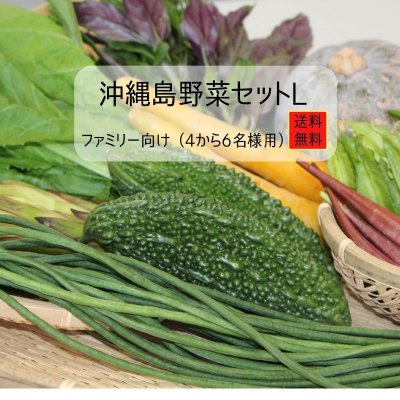 沖縄島野菜セットL　〜ファミリー向け〜