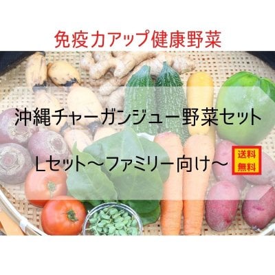【健康野菜】沖縄チャーガンジュー野菜セットL　〜ファミリー向け〜