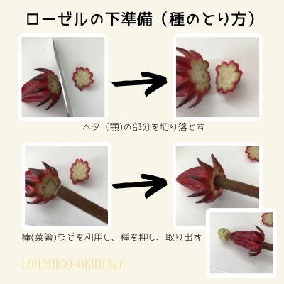 自然栽培 沖縄産ローゼル 生 約1kg