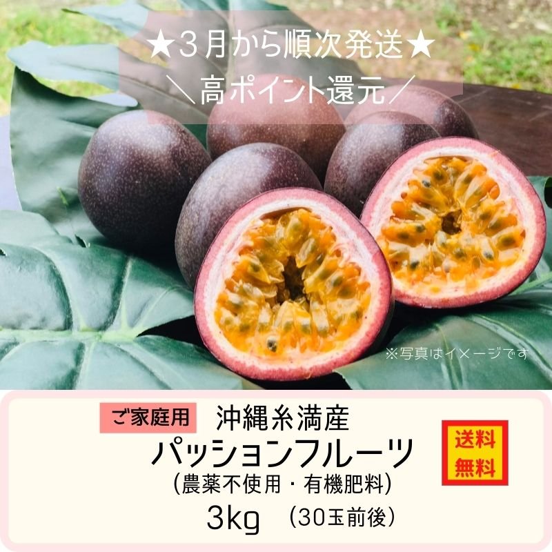 ご家庭用3kg 高ポイント還元 沖縄糸満産パッションフルーツ 農薬不使用 有機肥料栽培 送料無料 23年最新版 バイヤーによるツクツクのオススメ商品を紹介 ビローノ かしこいツクツクの使い方