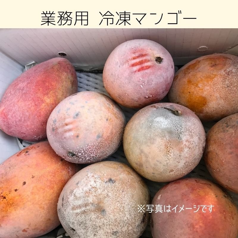 沖縄県産・冷凍マンゴー10kg【送料込み！】