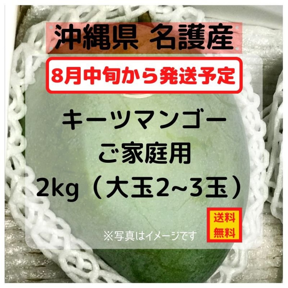 【9／10までご注文受付中】沖縄県名護産キーツマンゴーご家庭用　〜無農薬栽培〜　約2Kg（２玉から３玉入）