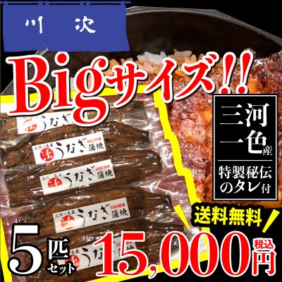【送料無料】三河産大鰻（うなぎ）真空パック　×５パック　（特製タレ付き）