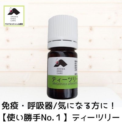 免疫・呼吸器/気になる方に!【使い勝手No.1】ティーツリー