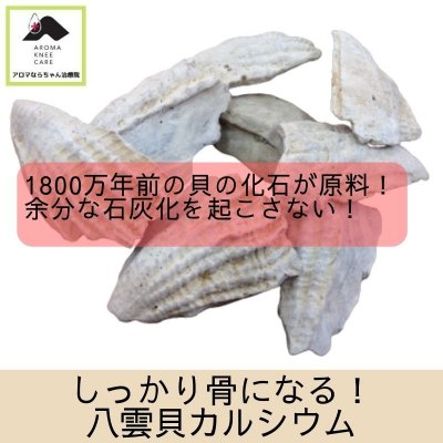 しっかり骨になる 八雲貝カルシウム ジンジャー シナモンplus 膝痛 脊柱管狭窄症の痛みのある方を笑顔にする アロマならちゃん治療院 ツクツク 通販 モバイル 最もお得な高ポイント還元通販サイト