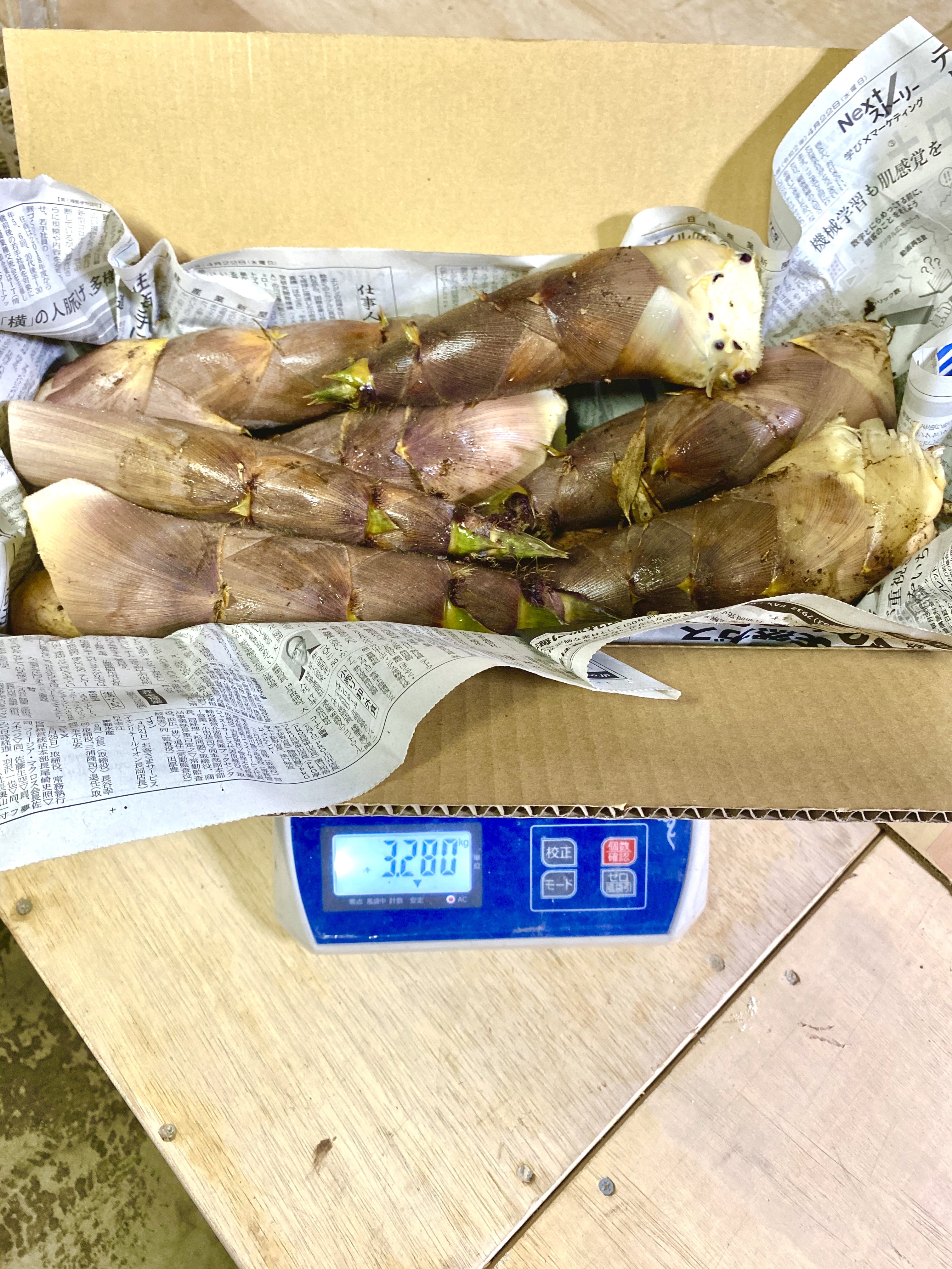 朝採りたけのこを収穫後即発送 4kg 15本前後 朝採りたけのこを収穫後即発送 4kg 15本前後
