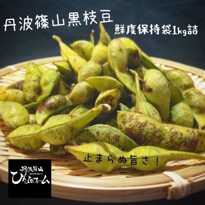 10月中期〜収穫/兵庫県丹波篠山産 丹波黒枝豆 さや枝豆1kg
