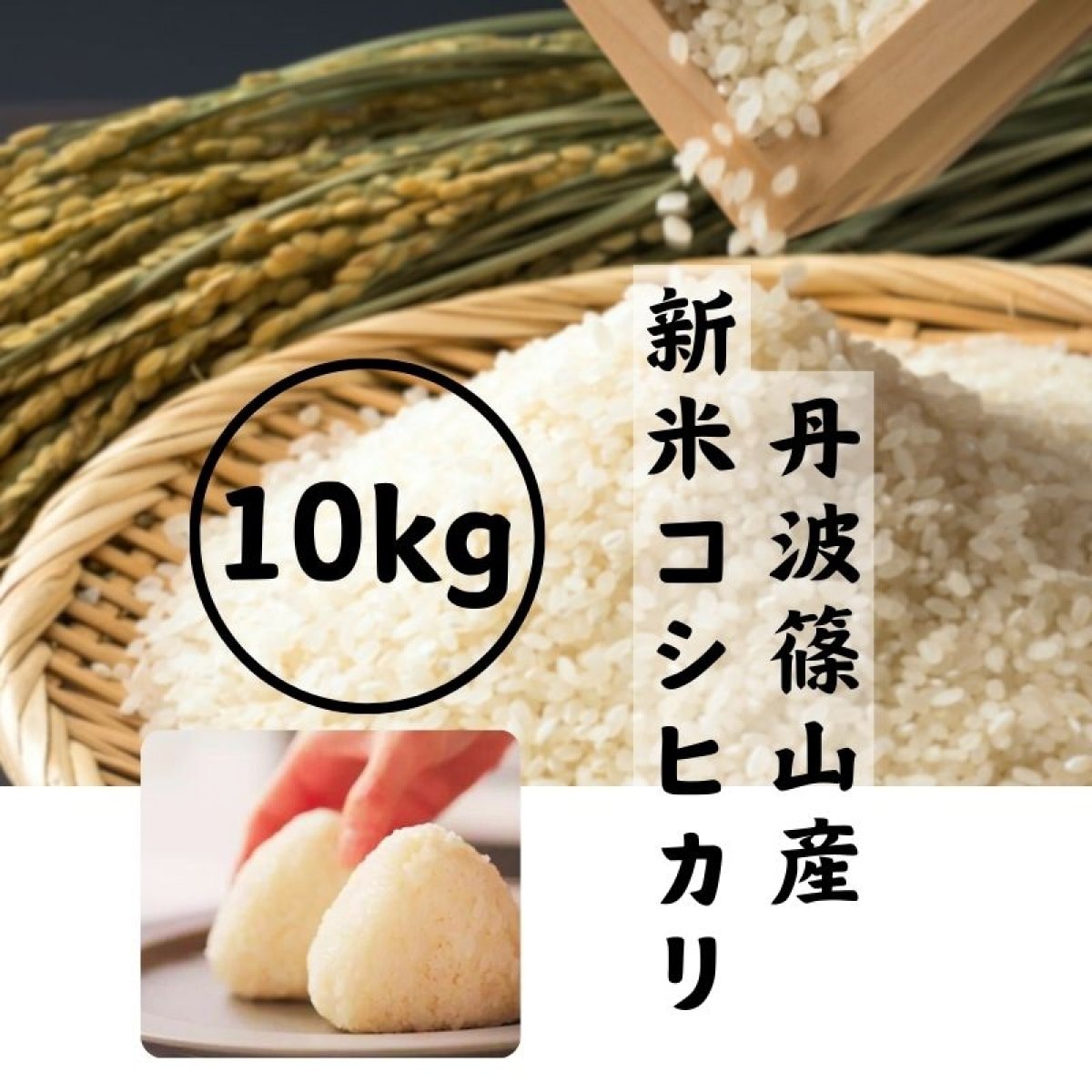 令和６年産新米コシヒカリ10kg