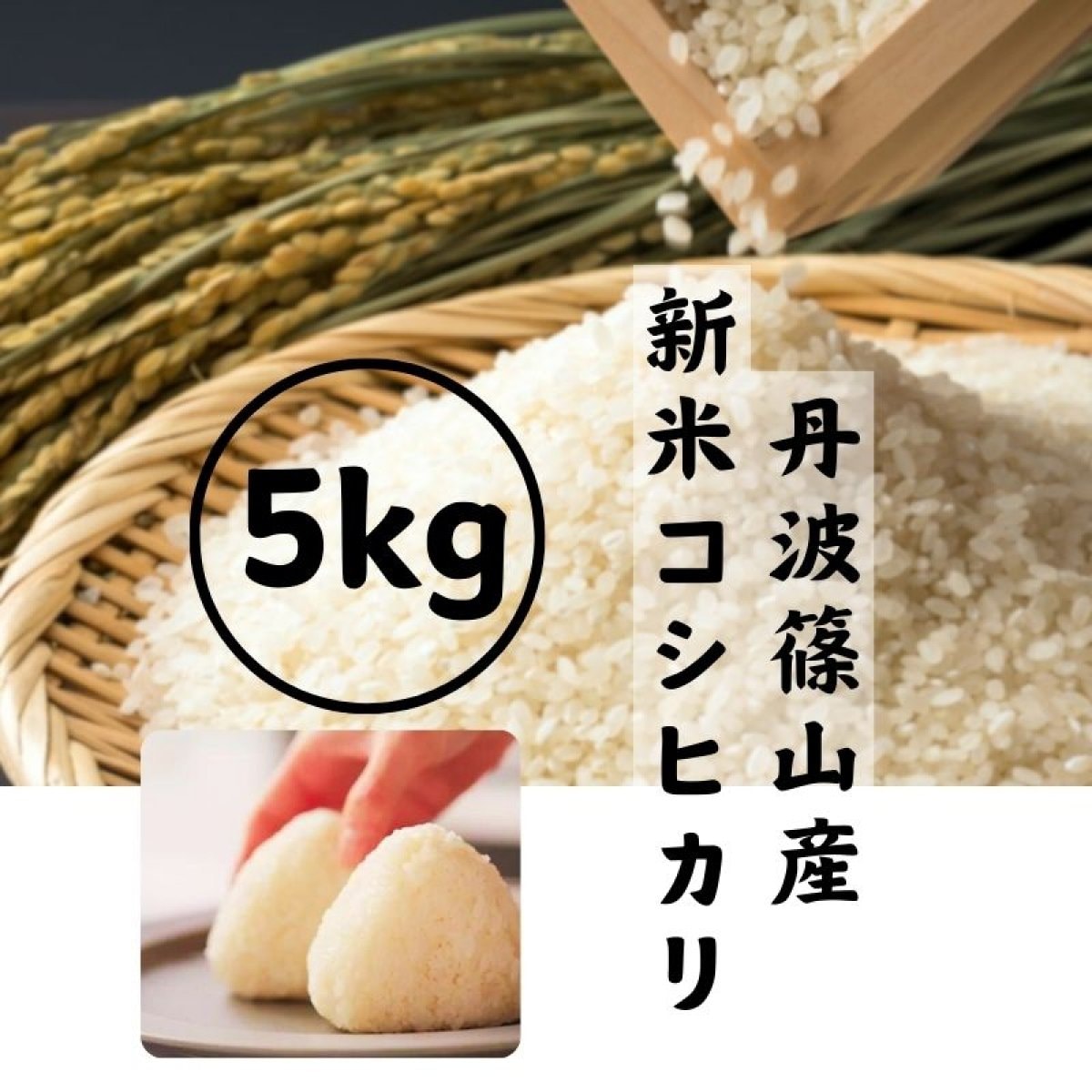 【予約】令和７年産新米コシヒカリ５kg