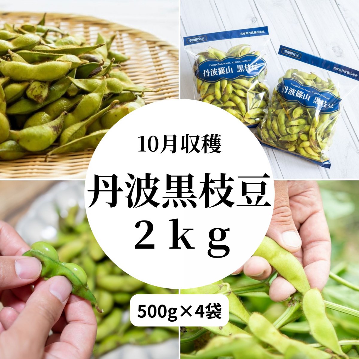 【予約】丹波黒枝豆 さや枝豆/2ｋｇ