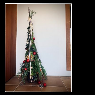 森の香り漂うgajuのクリスマスツリー2020