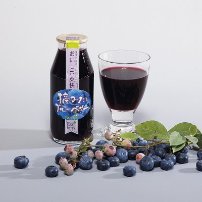 摘みたてブルーベリー180ml 10本セット