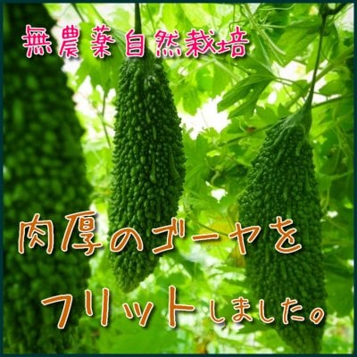 【季節限定!お取り寄せオオイタアリアン野菜】とろふわ!苦くない!光輪農園ゴーヤフリット