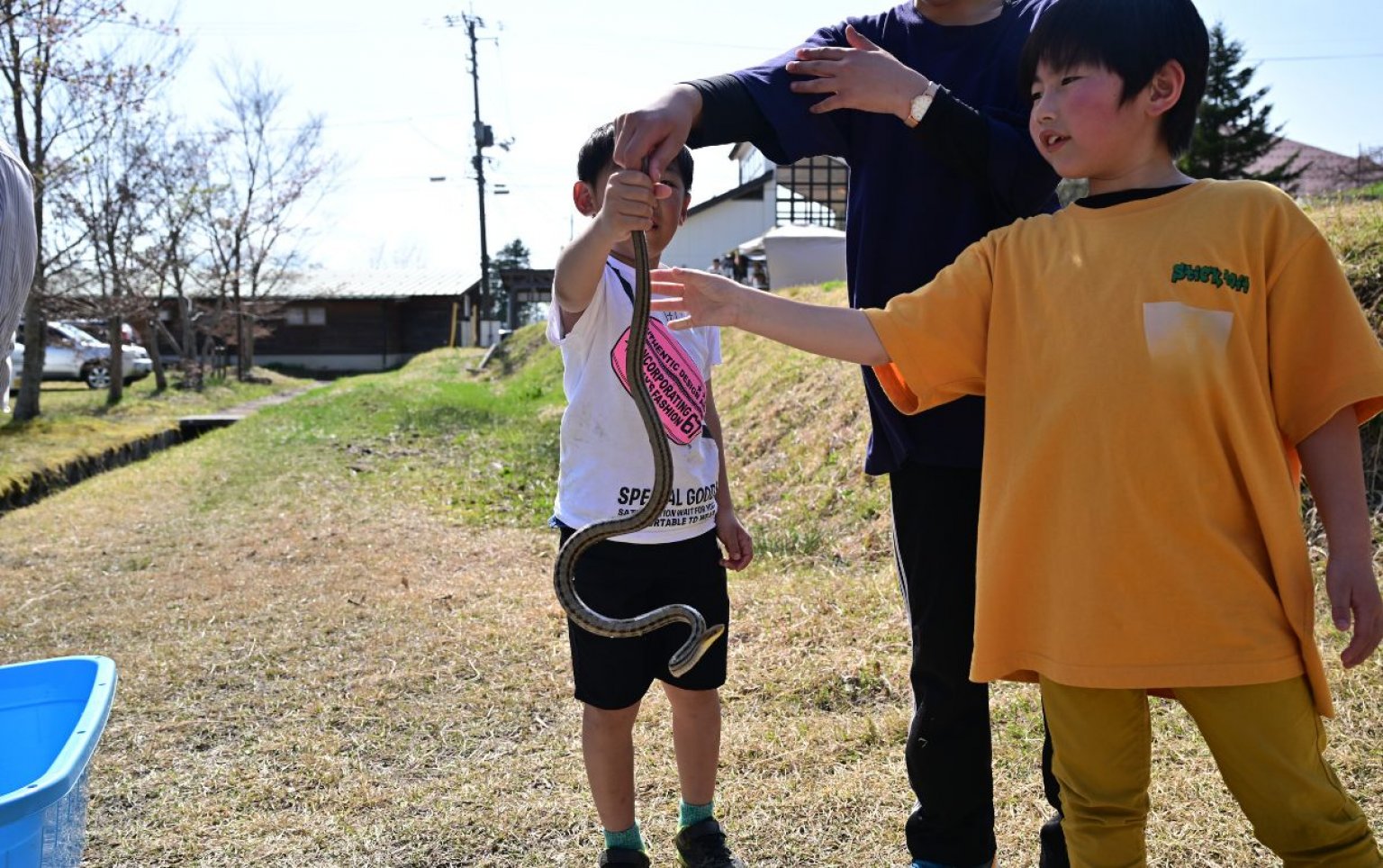いいなんプレーパーク　子どものあそび！応援チケット（ご寄付）5,000円　【高ポイント還元】