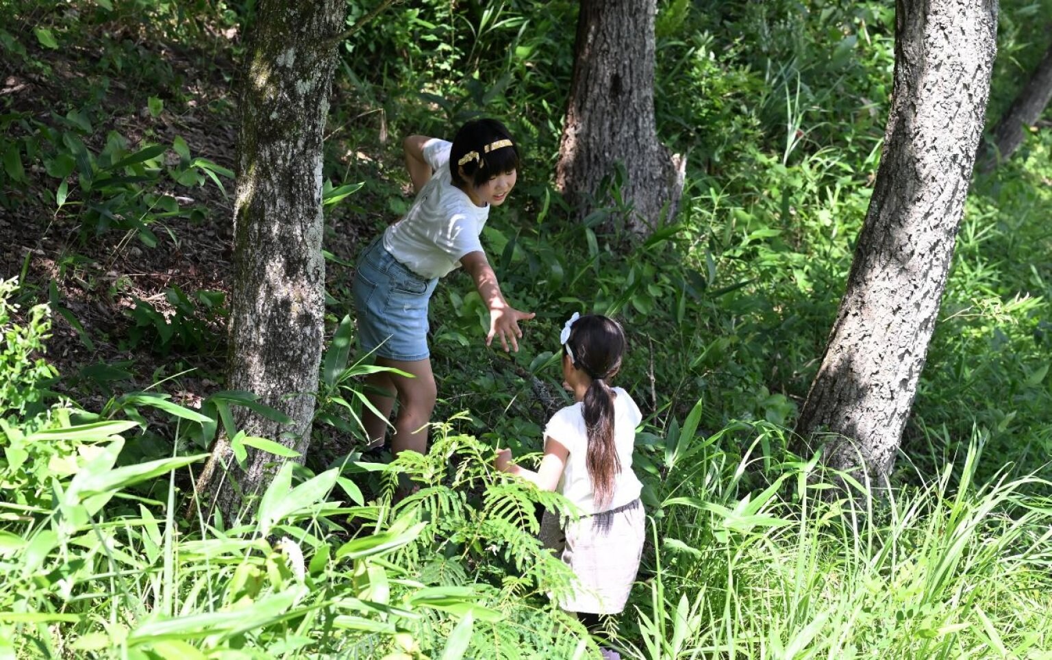 いいなんプレーパーク　子どものあそび！応援チケット（ご寄付）5,000円　【高ポイント還元】