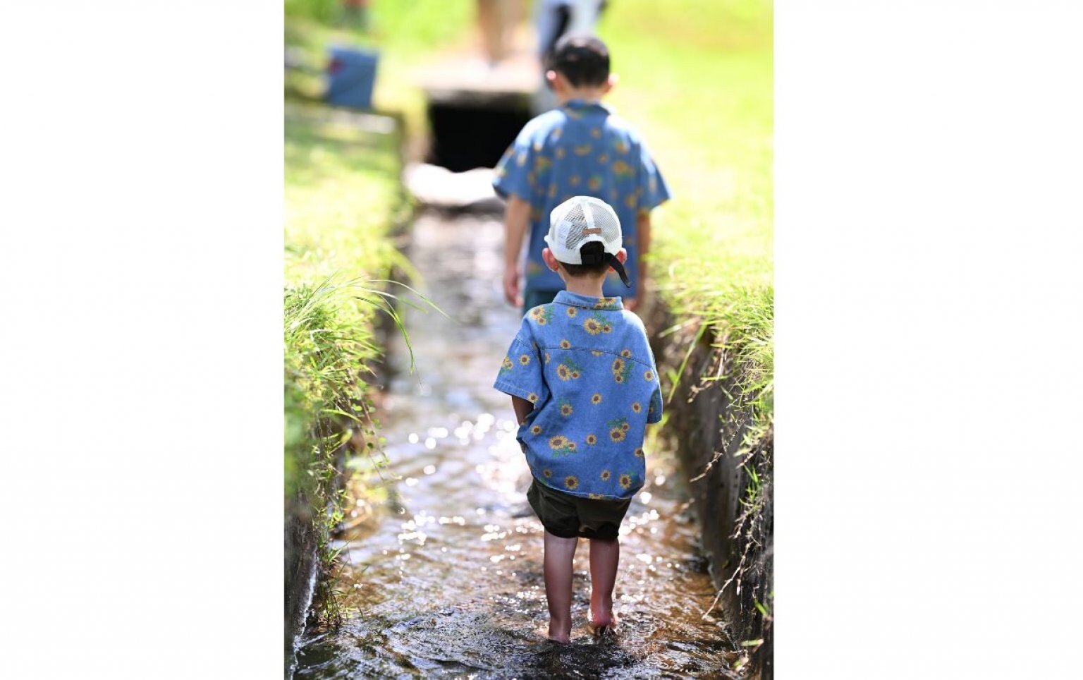 いいなんプレーパーク　子どものあそび！応援チケット（ご寄付）5,000円　【高ポイント還元】