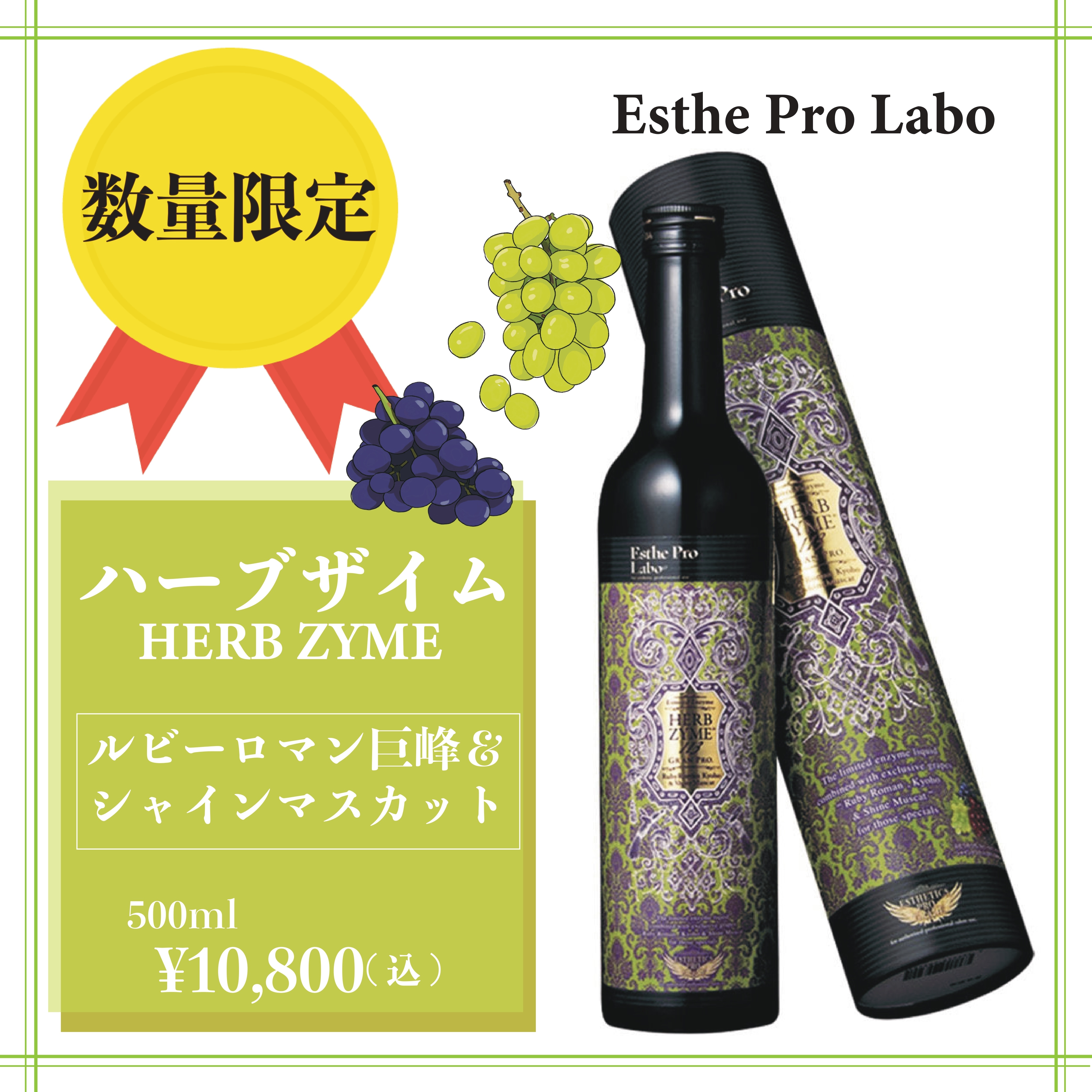 クーポン利用で2750円&送料無料 ハーブザイム113 ルビーロマン 巨峰