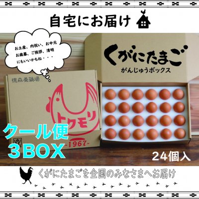 【 南国 沖縄の黄金卵】くがにたまご がんじゅうBOX 24個入り✖︎3セット ※送料無料‼︎ "クール便発送"