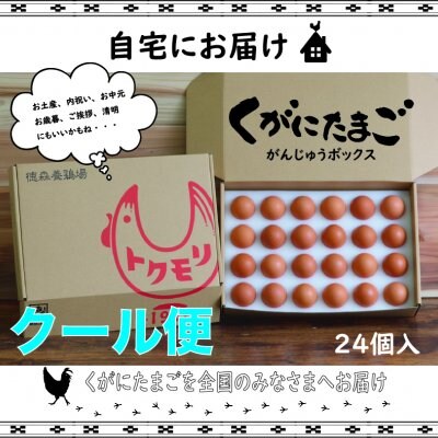 【南国 沖縄の黄金卵】くがにたまご がんじゅうBOX 24個入り ※送料無料‼︎ "クール便発送"