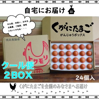 【 南国 沖縄の黄金卵】くがにたまご がんじゅうBOX 24個入り✖︎2セット ※送料無料‼︎ "クール便発送"