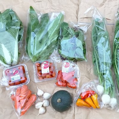 山田農園の旬のおまかせ野菜セットSサイズ