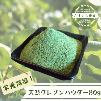 天然クレソン粉/80ｇ[さすてな農園]