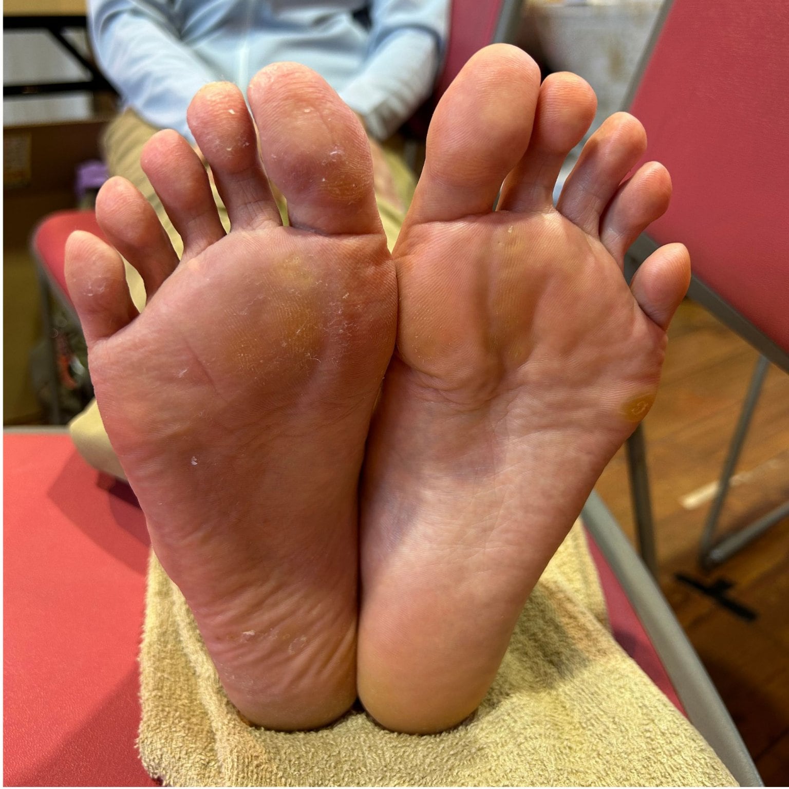 【アワノヒビキ】16回回数券