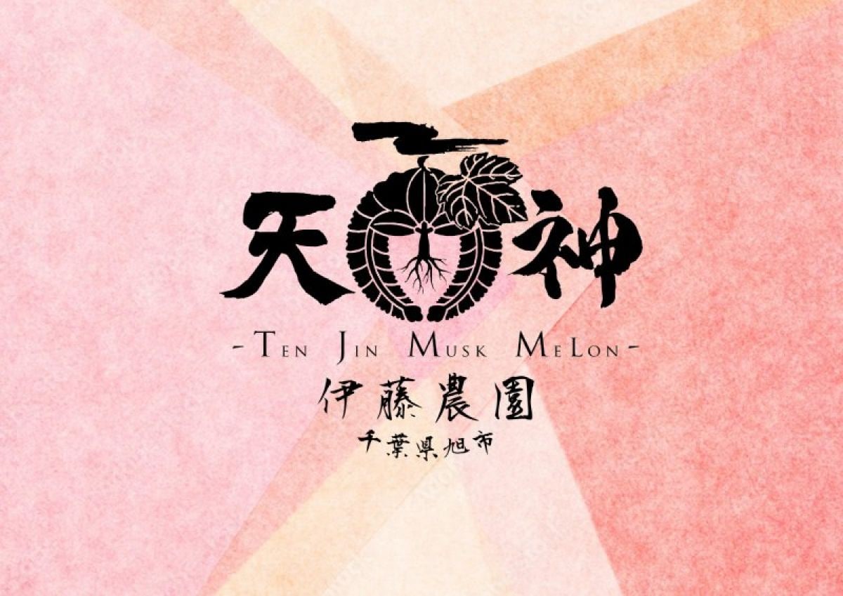【天神 -Ten jin Musk Melon】１玉化粧のし箱入り🍈 気持ちのこもった贈り物に❗️こだわりのマスクメロン 生産者直送✨７月７日までの限定１００箱