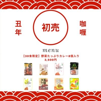 【残り3名】野菜たっぷりカレー8個入り 3,500円