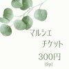 【現地払い専用】マルシェチケット300円(税込)