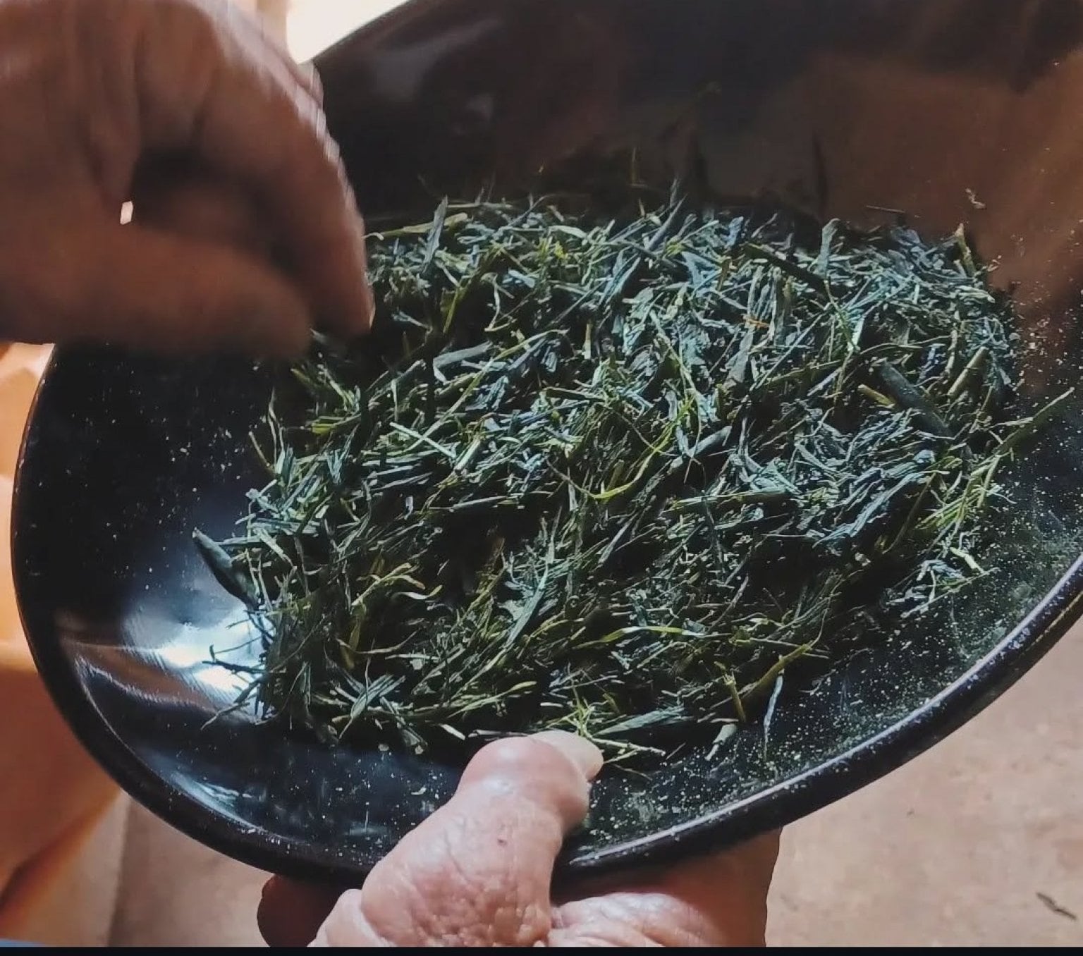 2025年7月20日（日）Tetoteto直伝！三次ほうじ茶焙煎体験～五感で楽しむお茶時間～