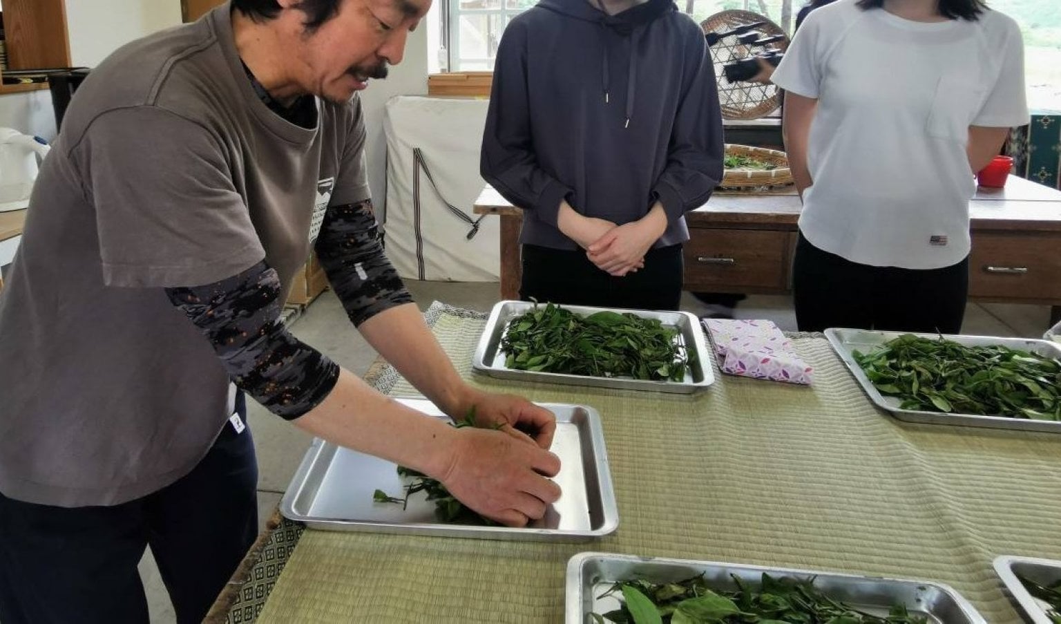 2025年7月20日（日）Tetoteto直伝！三次のお茶「手もみ煎茶づくり体験」～五感で楽しむお茶時間～