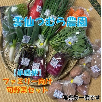 【ファミリー向け】旬野菜セット/ 雲仙つむら農園