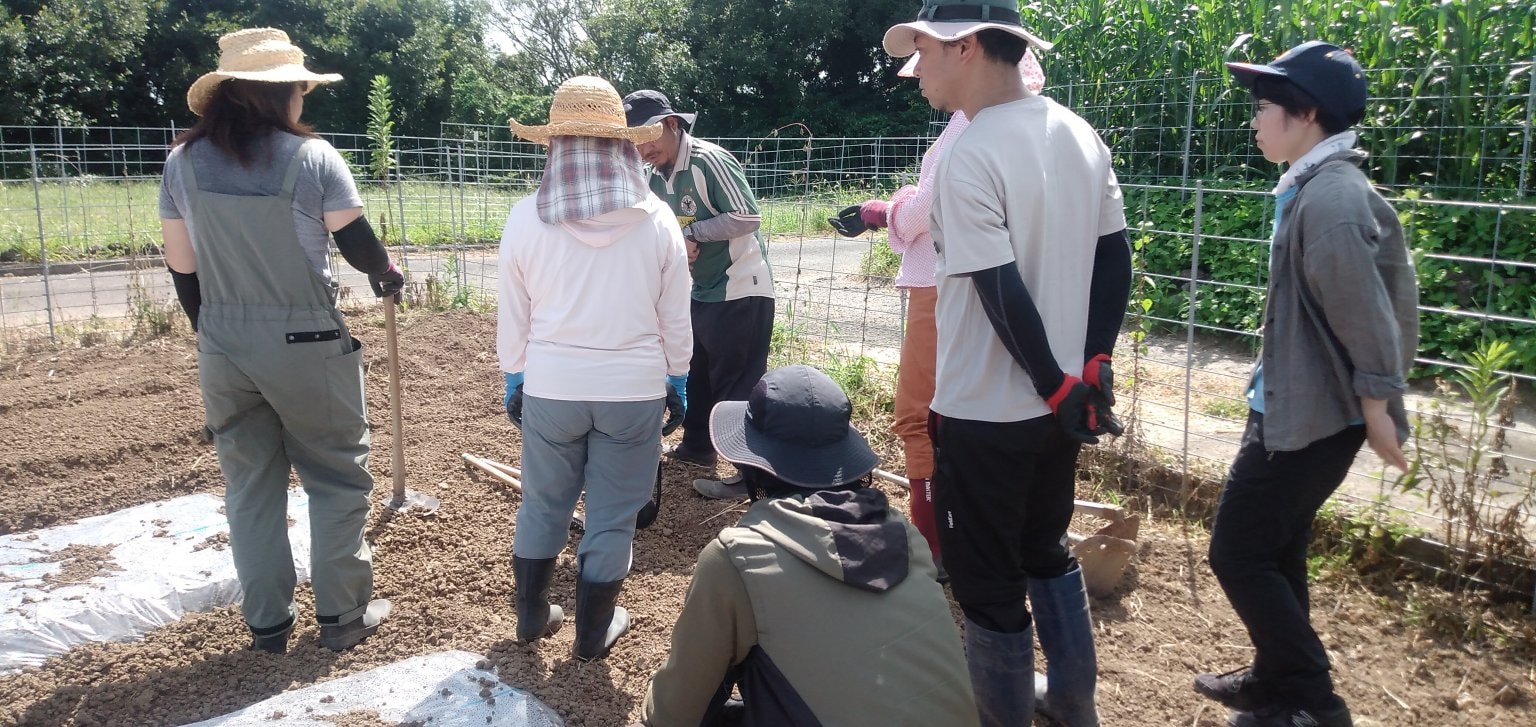 【スタンダード会員】雲仙つむら農園＿農楽会　サポーターズクラブ会員権