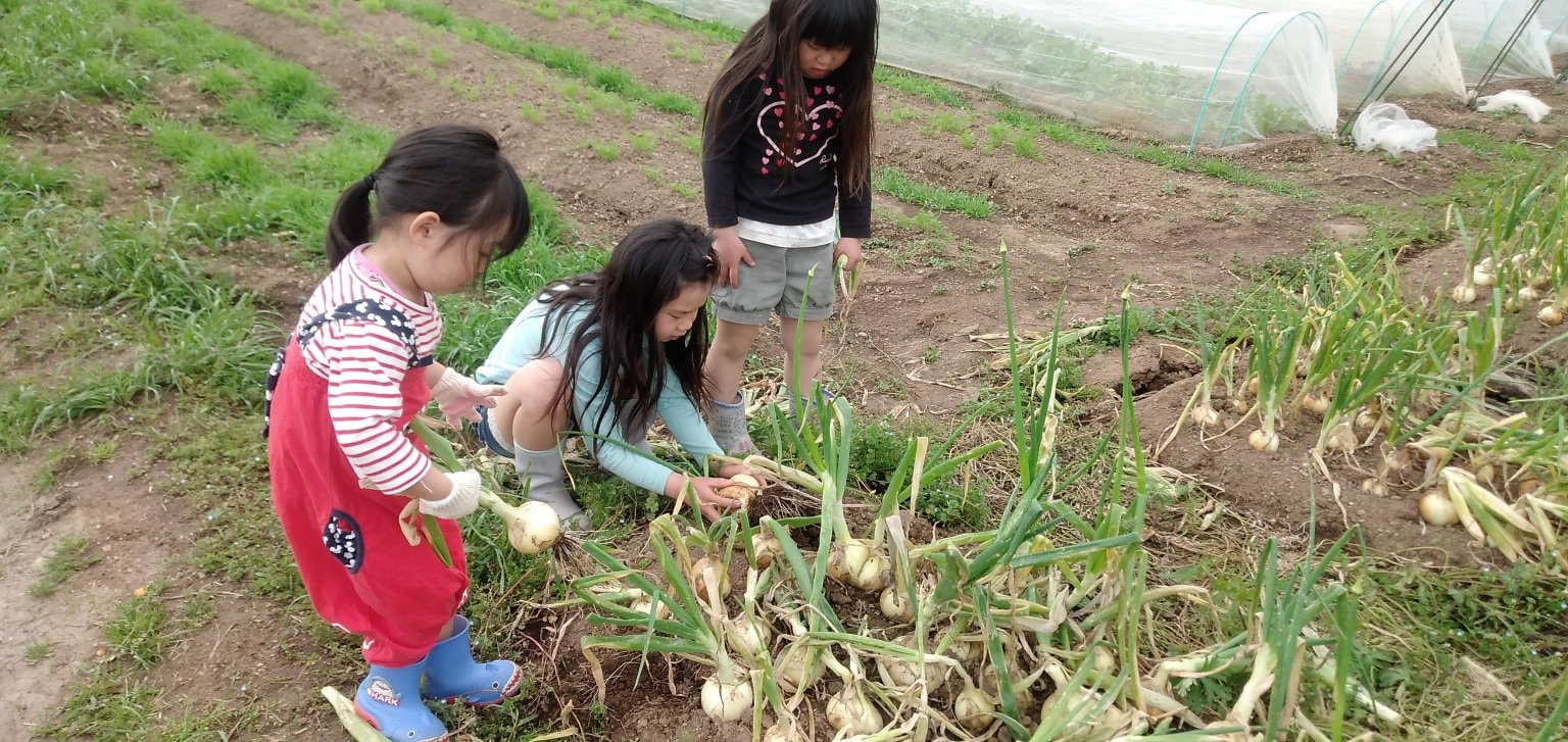 【スタンダード会員】雲仙つむら農園＿農楽会　サポーターズクラブ会員権