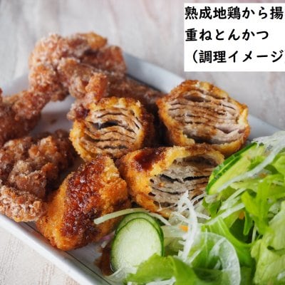 揚げ物セット(熟成地鶏からあげ・江田島地鶏串カツ・江田島ポーク重ねとんかつ)産地直送・真空パック・冷凍便