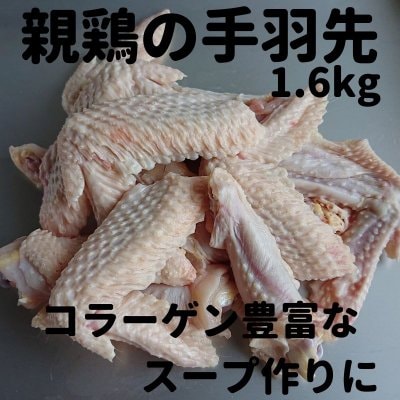 【スープ用に!】江田島もみじ(親鶏)の手羽先1.6kg(産地直送・冷凍便)