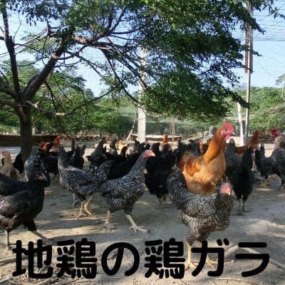 江田島地鶏三種の鶏ガラ4kg(6〜8羽分)(産地直送・冷凍便)