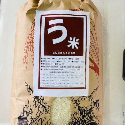 う米 コシヒカリ 10㎏ (但馬地区のお米)