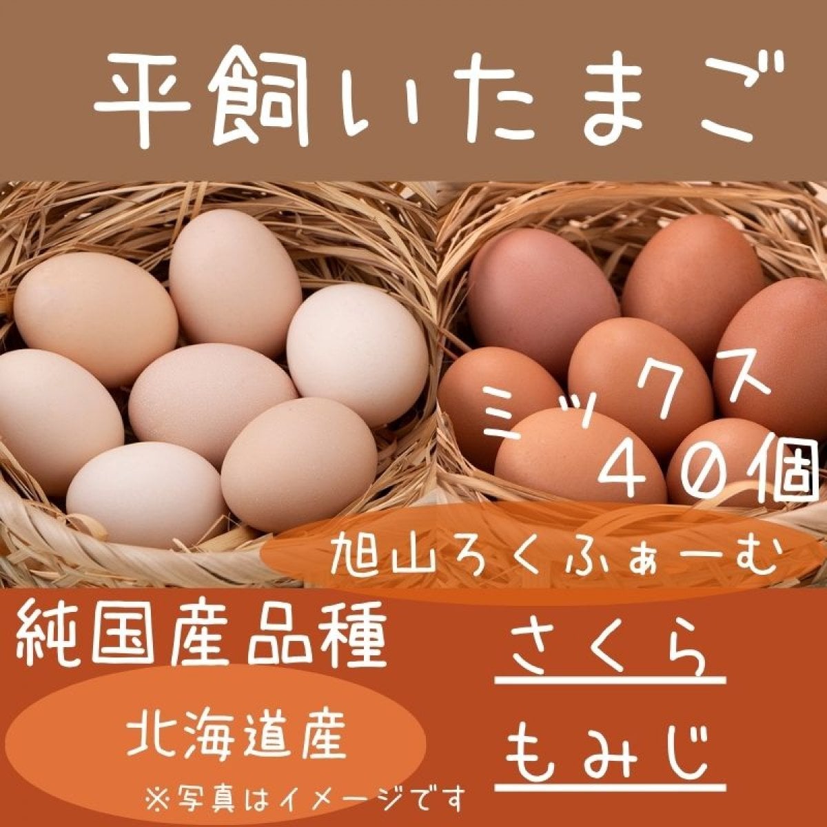 【送料無料】北海道平飼い純国産鶏たまご40個入り（36個＋破卵補償分4個含む）