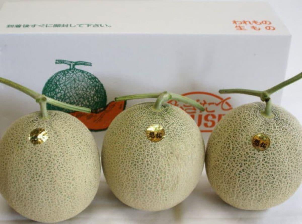 メロン3玉入り（5ｋｇ前後）日持ちタイプ