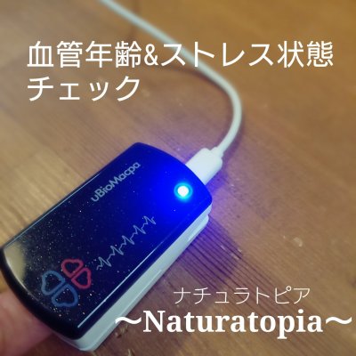 【現地払い専用】3/6限定　おすそ分けマルシェ５００円券 Naturatopia