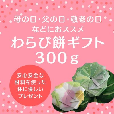 わらび餅専門店ユニコーンカフェのわらび餅ギフト300g